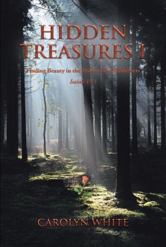 Hidden Treasures I (eBook, ePUB) - White, Carolyn