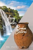 Living Waters or Broken Cisterns (eBook, ePUB)