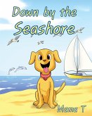 Down by the Seashore (eBook, ePUB)