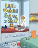 Little Gabriel Sat on a Shelf (eBook, ePUB)
