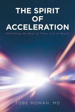 Cover The Spirit of Acceleration (eBook, ePUB)
