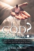 Is God Really Alive? (eBook, ePUB)