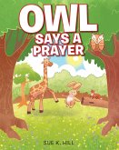 Owl Says a Prayer (eBook, ePUB)