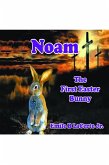 Noam-The First Easter Bunny (eBook, ePUB)