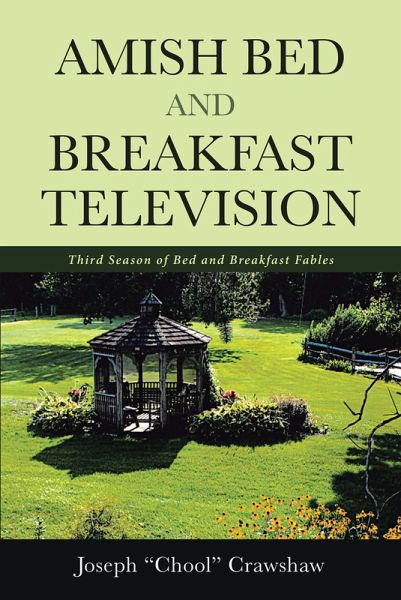 Amish Bed and Breakfast Television (eBook, ePUB) Amish Bed and Breakfast Television (eBook, ePUB)