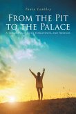 From the Pit to the Palace (eBook, ePUB)