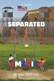Separated in America (eBook, ePUB)