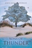 Sons of Thunder (eBook, ePUB)