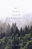 My Born Again Experience (eBook, ePUB)