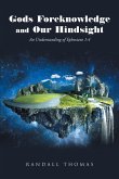 Gods Foreknowledge and Our Hindsight (eBook, ePUB)