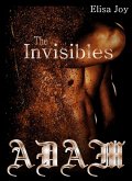 The Invisibles 1: Adam (eBook, ePUB)