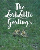 The Lost Little Goslings (eBook, ePUB)