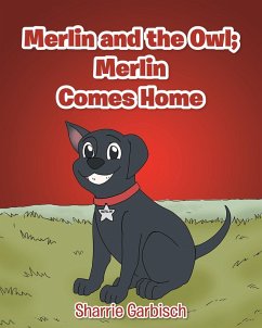 Merlin and the Owl: Merlin Comes Home (eBook, ePUB) - Garbisch, Sharrie