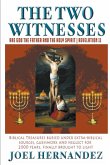 The Two Witnesses are God the Father and The Holy Spirit - Revelation 11 (eBook, ePUB)