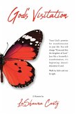 God's Visitation (eBook, ePUB)