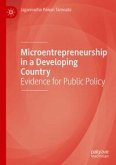 Microentrepreneurship in a Developing Country (eBook, PDF)