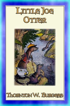 LITTLE JOE OTTER - an animal story for children (eBook, ePUB) - W. Burgess, Thornton