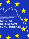 EURO: Ce este și cum funcționează (eBook, ePUB)