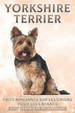 Yorkshire Terrier: Faits amusants sur les chiens pour les enfants #9