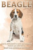 Beagle: Faits amusants sur les chiens pour les enfants #5