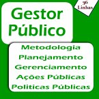 Gestor Público (MP3-Download)