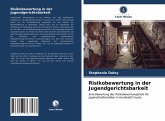 Risikobewertung in der Jugendgerichtsbarkeit