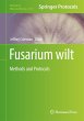 Fusarium wilt - Bild 1
