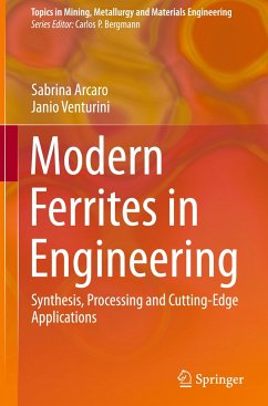 Modern Ferrites in Engineering - Arcaro, Sabrina;Venturini, Janio