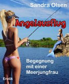 Angelausflug (eBook, ePUB)