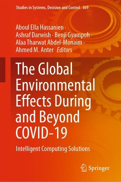 The Global Environmental Effects During and Beyond COVID-19 (eBook, PDF)