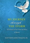 My Journey Through The Storm: A Testimony of God's Grace and A Mercy A Memoir