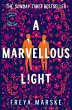 A Marvellous Light (eBook, ePUB) - Bild 1