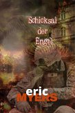 Schicksal der Engel (eBook, ePUB)