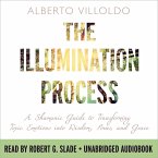 The Illumination Process (MP3-Download)