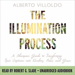 The Illumination Process (MP3-Download) - Villoldo, Alberto