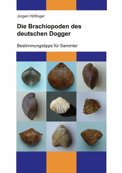 Die Brachiopoden des deutschen Dogger (eBook, ePUB) - Höflinger, Jürgen