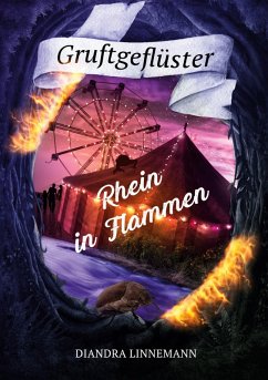 Rhein in Flammen (eBook, ePUB)