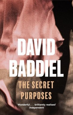 The Secret Purposes (eBook, ePUB) - Baddiel, David