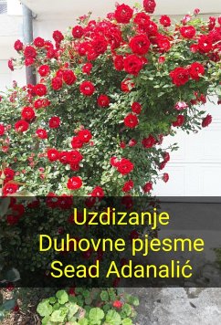 Cover Uzdizanje Duhovne pjesme (eBook, ePUB)