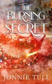 The Burning Secret (eBook, ePUB)