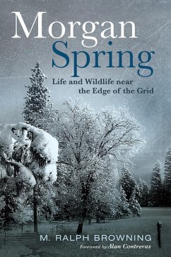 Morgan Spring (eBook, ePUB)