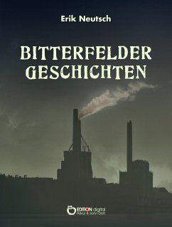 Bitterfelder Geschichten (eBook, PDF) - Neutsch, Erik