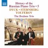 History Of The Russian Piano Trio,Vol.5 - Bild 1