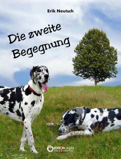 Die zweite Begegnung (eBook, PDF) - Neutsch, Erik