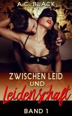 Zwischen Leid und Leidenschaft 1 (eBook, ePUB)