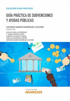 Guía Práctica de Subvenciones y Ayudas Públicas (eBook, ePUB) - Rodríguez Castaño, Antonio Ramón