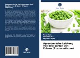 Agronomische Leistung von drei Sorten von Erbsen (Pisum sativum)