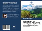 Auswirkungen des periodischen Überlaufens von Gullys auf die Umwelt