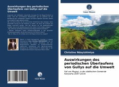 Auswirkungen des periodischen Überlaufens von Gullys auf die Umwelt - Ndayishimiye, Christine