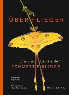 Überflieger. Die vier Leben der Schmetterlinge - Straaß, Veronika;Lieckfeld, Claus-Peter